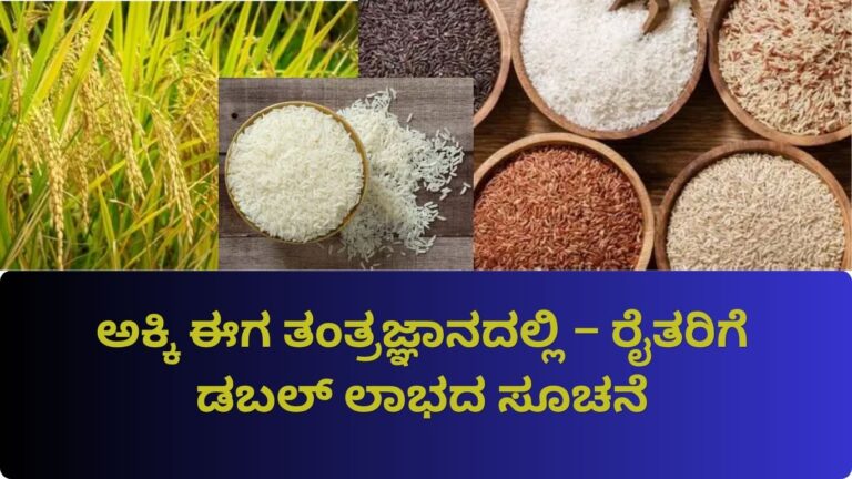 Smart Material from Rice