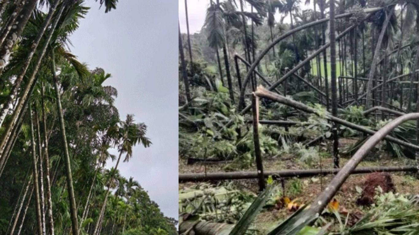 Thunderstorm alert Karnataka Kannada