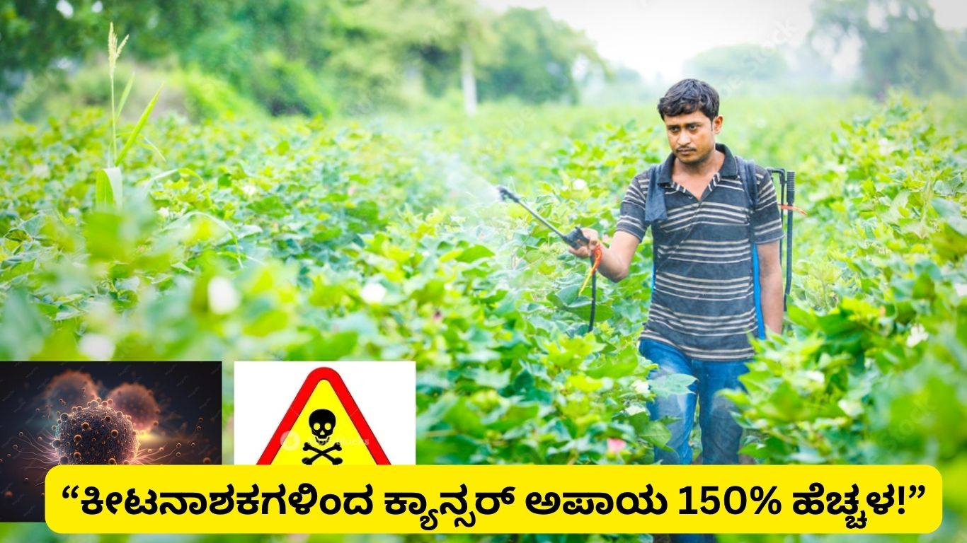 ಕೀಟನಾಶಕಗಳು ಕ್ಯಾನ್ಸರ್ ಅಪಾಯ 150%