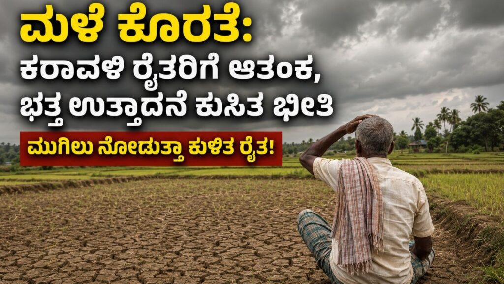 Agriculture News Karnataka