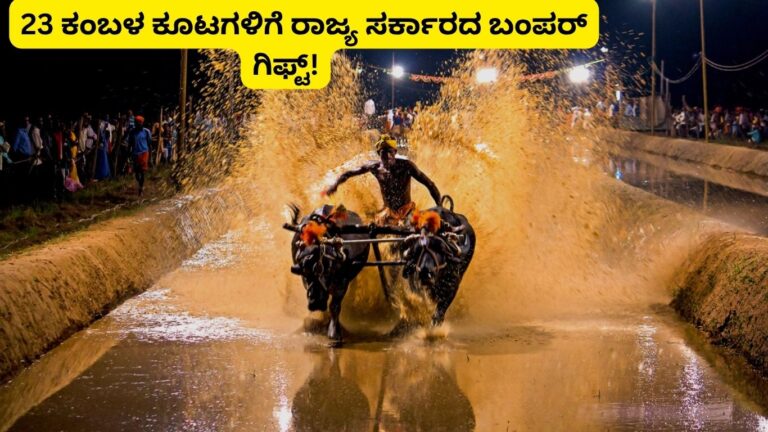 kambala government grant