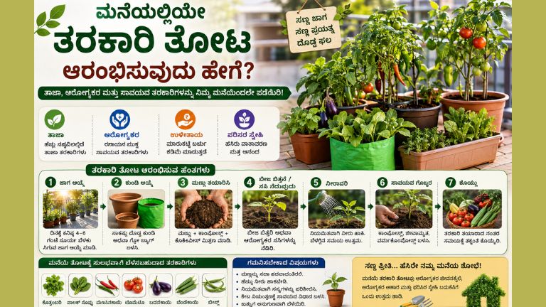Home Vegetable Garden