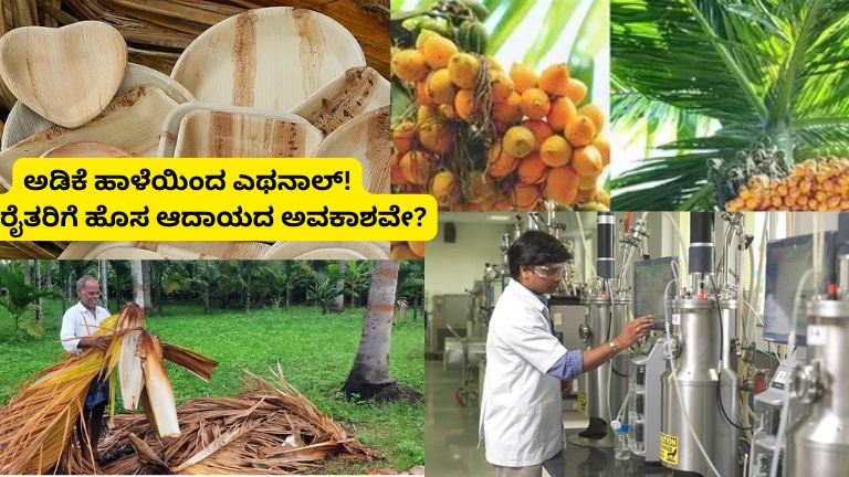 Areca leaf sheath ethanol production