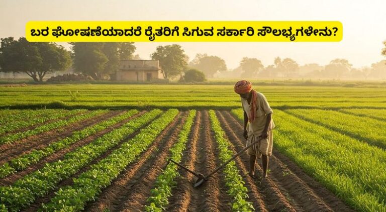 Drought declared farmers
